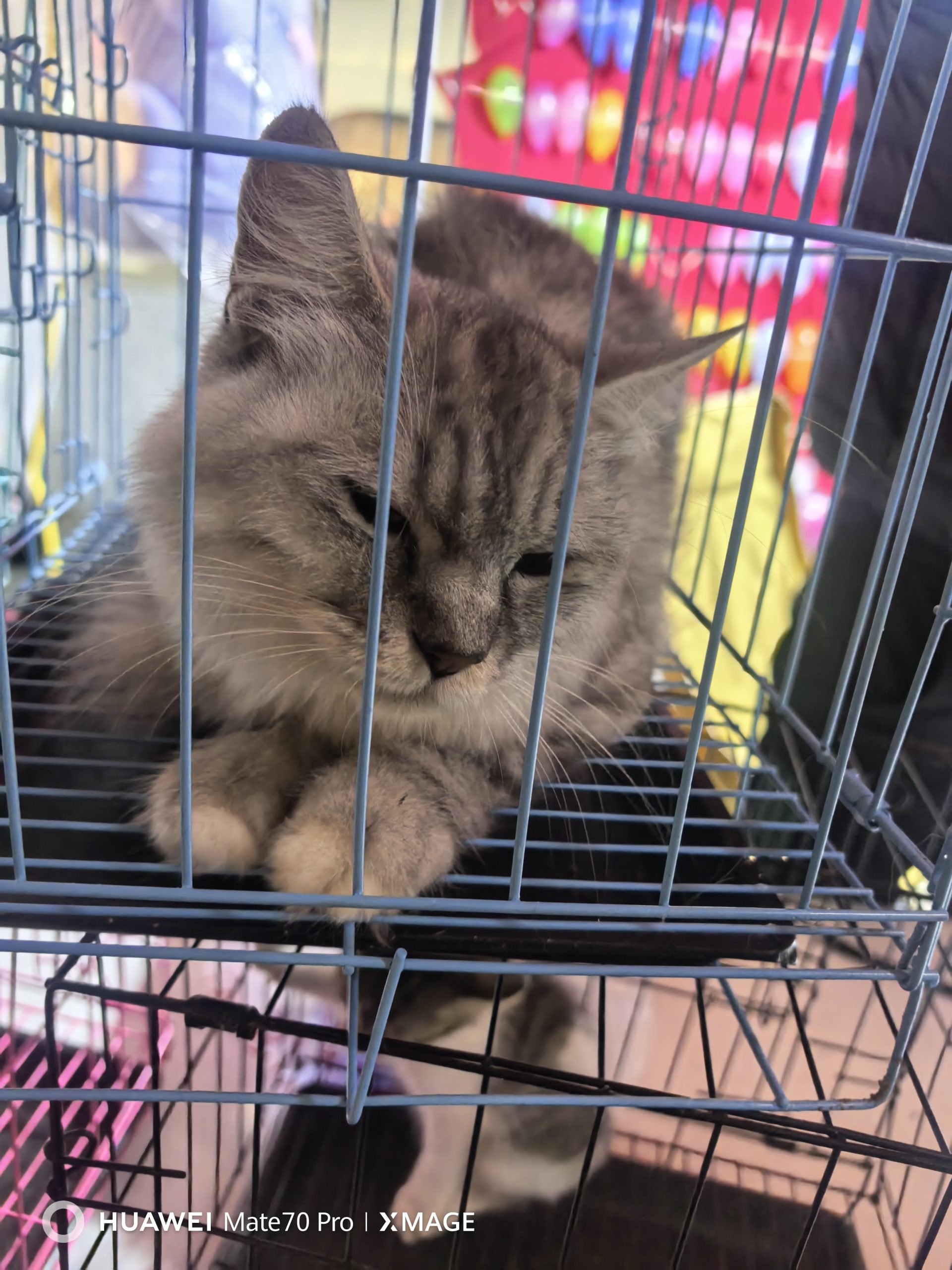 这段经历给的殇吴起-吴起123-吴起微城-吴起信息网-吴起吧吴起吧小站